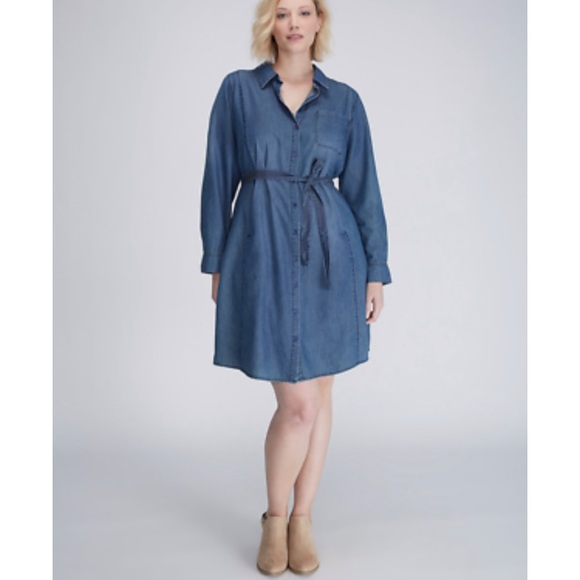 lane bryant shirt dress
